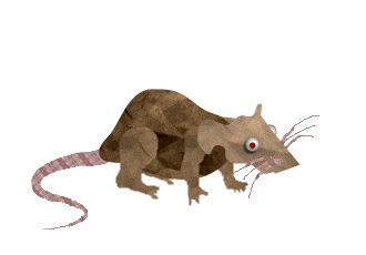 animated rat by Reschu on DeviantArt