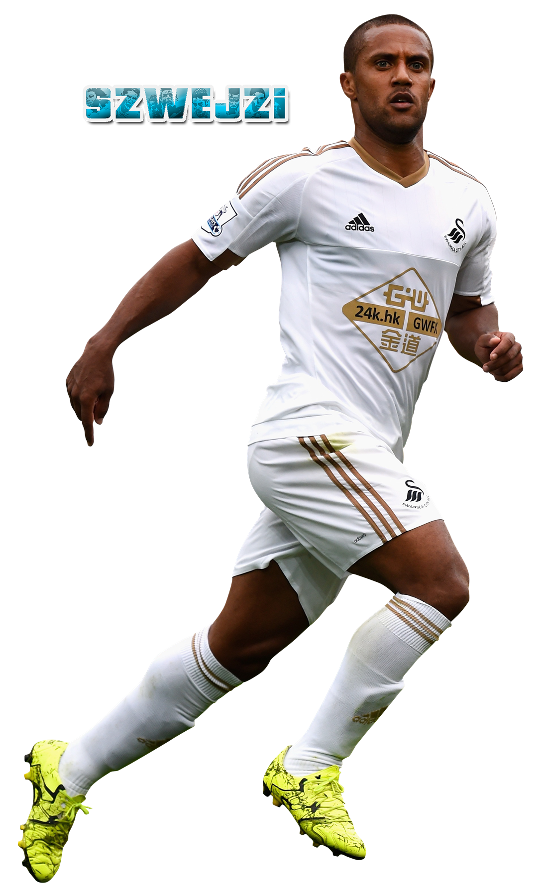 Wayne Routledge