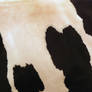 cow fur 1