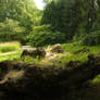 stone stock 3