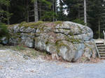stone stock 11