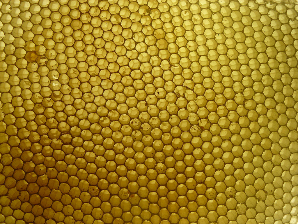 honeycomb stock