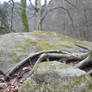 stone stock