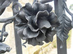 black blossom stock