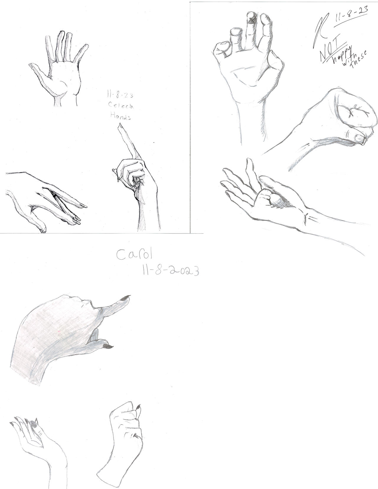 Hand Practce Hand Practice 11-8-23 by TurtleRanchStudio on DeviantArt