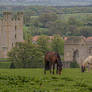 Helmsley Castle, Yorkshire