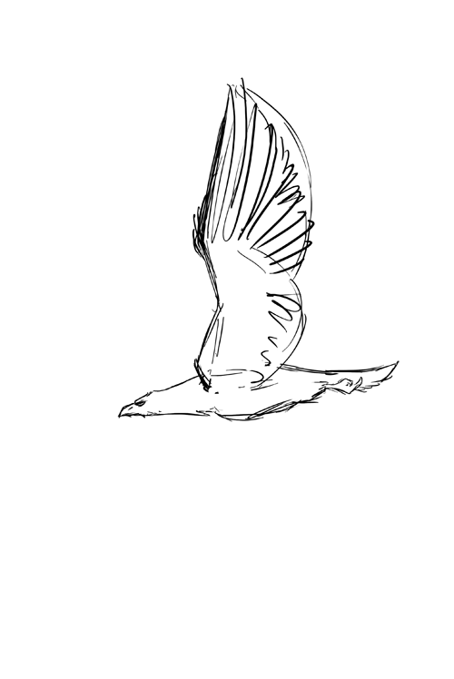 Flying eagle animation by Lunewen on DeviantArt Flying eagle animation by Lunewen on DeviantArt