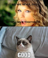 Taylor and Grumpy