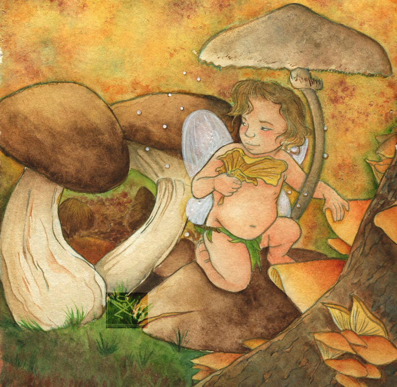 Mushrooms Fairy by Caravaggia