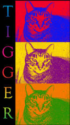Tigger-ific