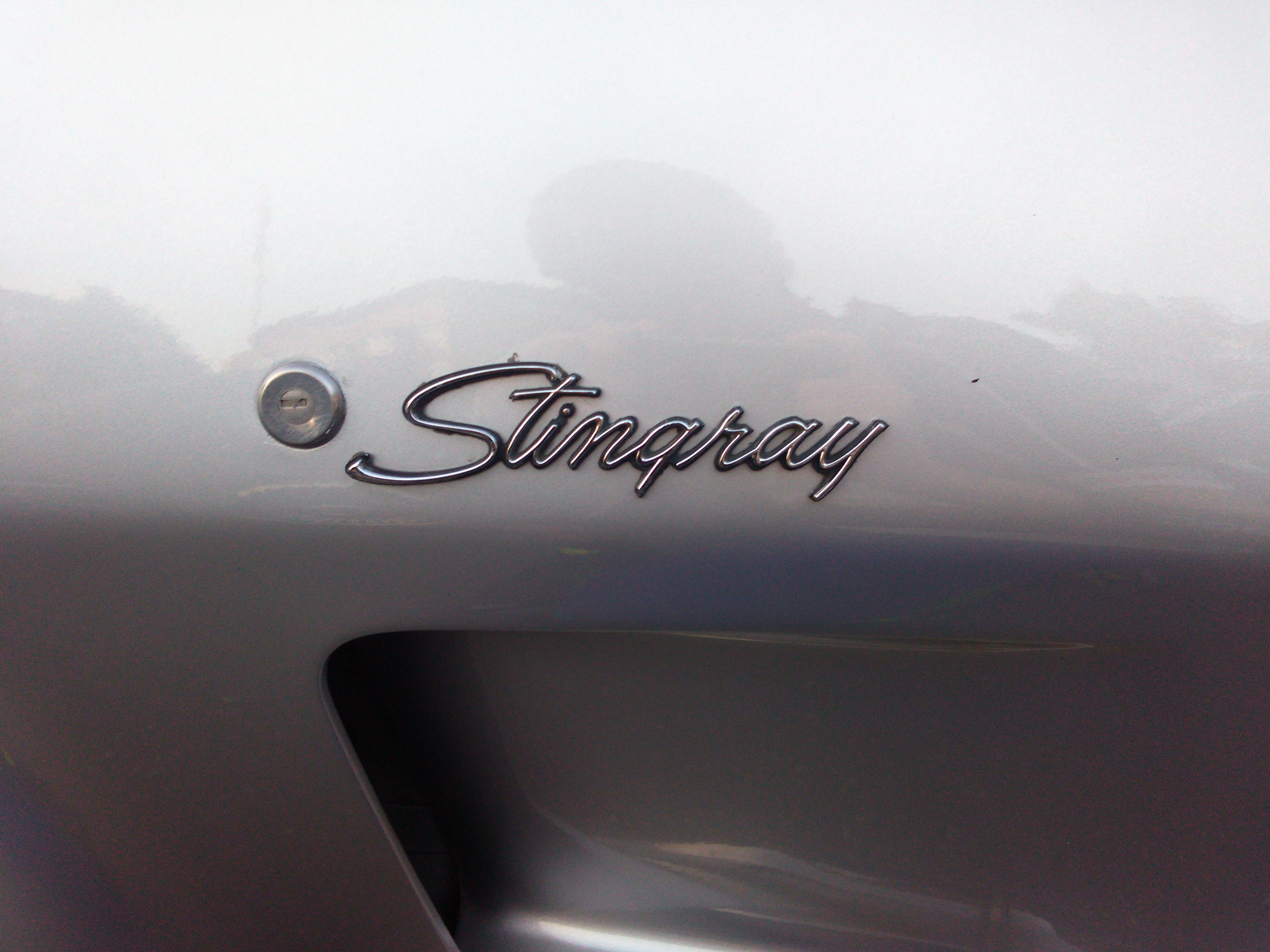 Grey 1982 Chevrolet Corvette Stingray side emblem 