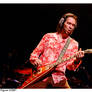 G3 - PAUL GILBERT - 1