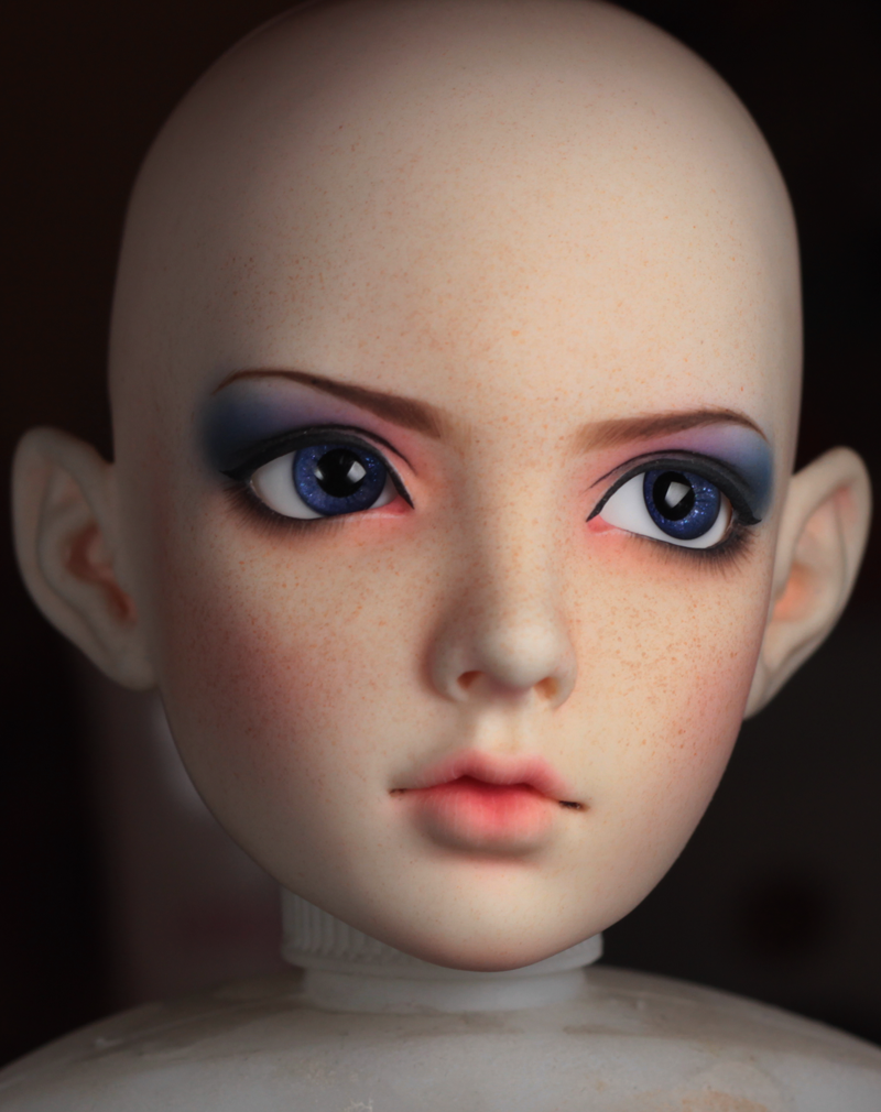 WIP Limhwa Half Elf Faceup