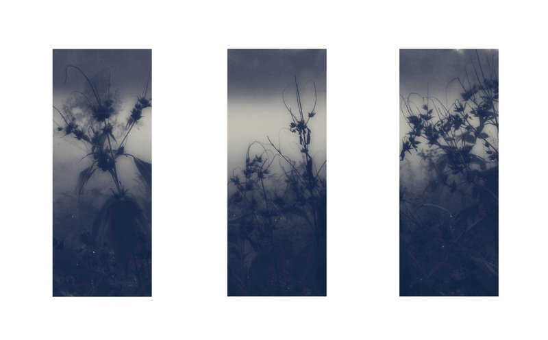 Morning Silence Tych 3