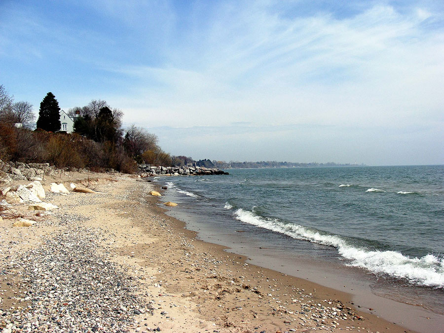 A Walk on The Beach