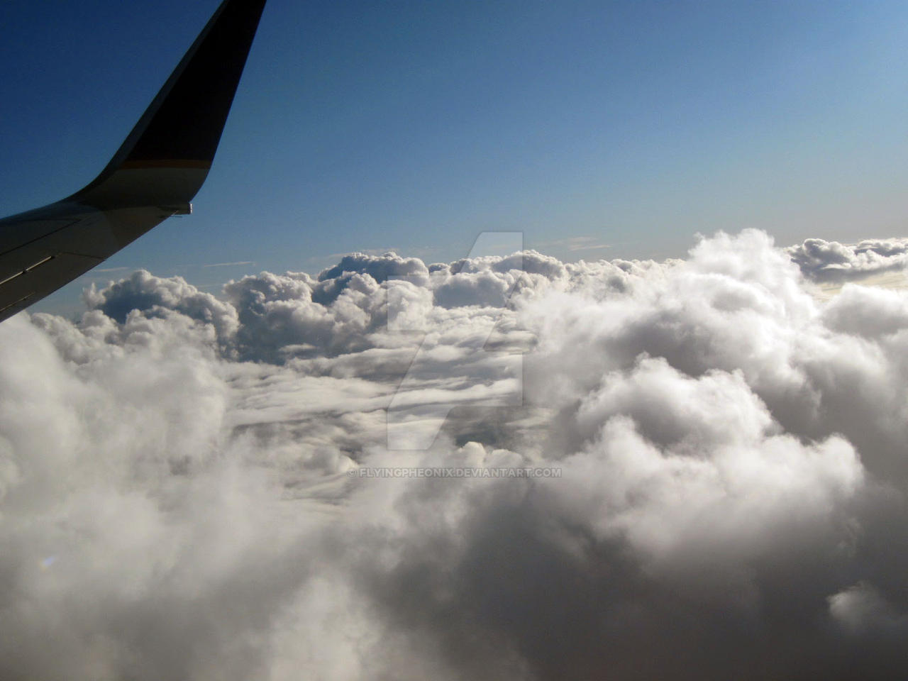 Flying Over Cloud 9