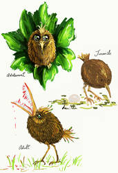 Lifecycle of a Kiwifruit Bird