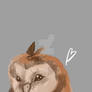 owl