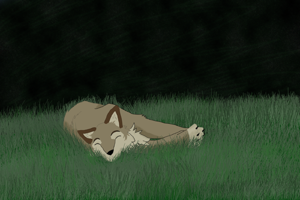 Sleeping Wolf