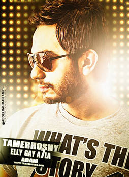 Tamer Hosny 2011