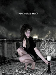 Periwinkle-stock 2