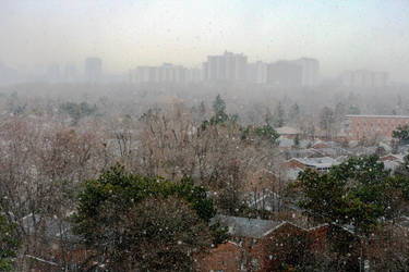 A Snowy Toronto Morning