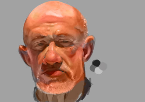 Mike Ehrmantraut  Breaking Bad