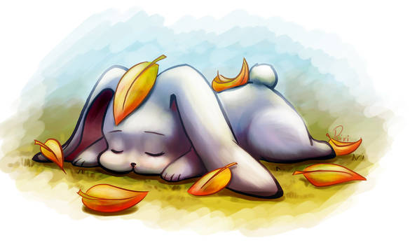 Sleeping bunny