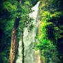 Waterfall - Laos