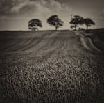 Kore by popp2