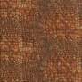 Dragon Skin Texture