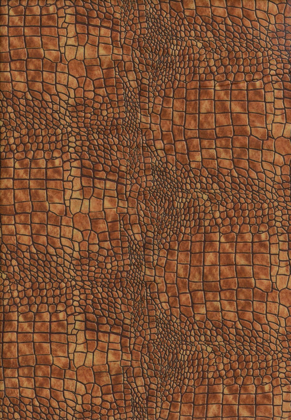 Dragon Skin Texture