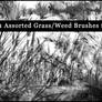 Grass and reed Brushes