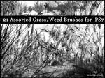 Grass and reed Brushes by miss69-stock