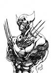 Marvel Heroes Wolverine