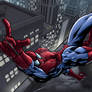 Spider-Man colored
