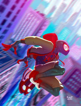 Spiderman into the spiderverse