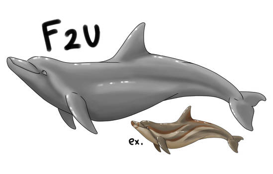 F2U Dolphin Base