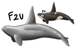 F2U Orca Base