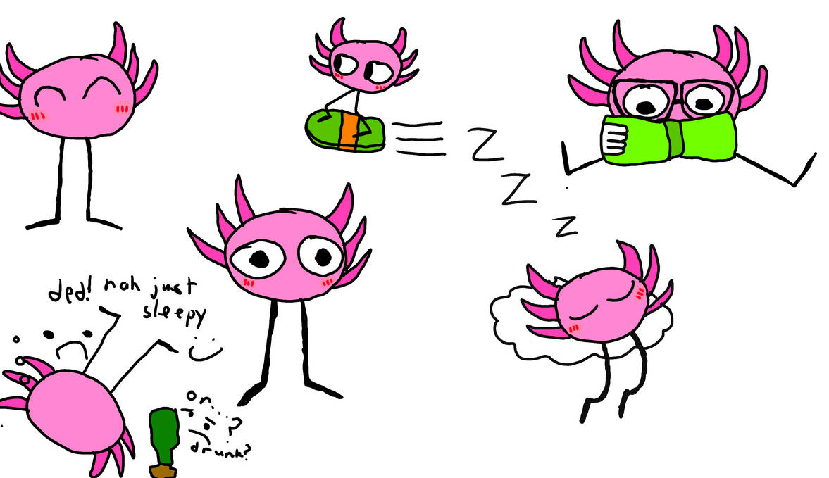 Kinito pet by Sybotm on DeviantArt