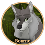 Bourne Medallion | DotW