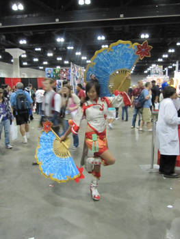 Anime Expo 2010af