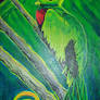 Quetzal