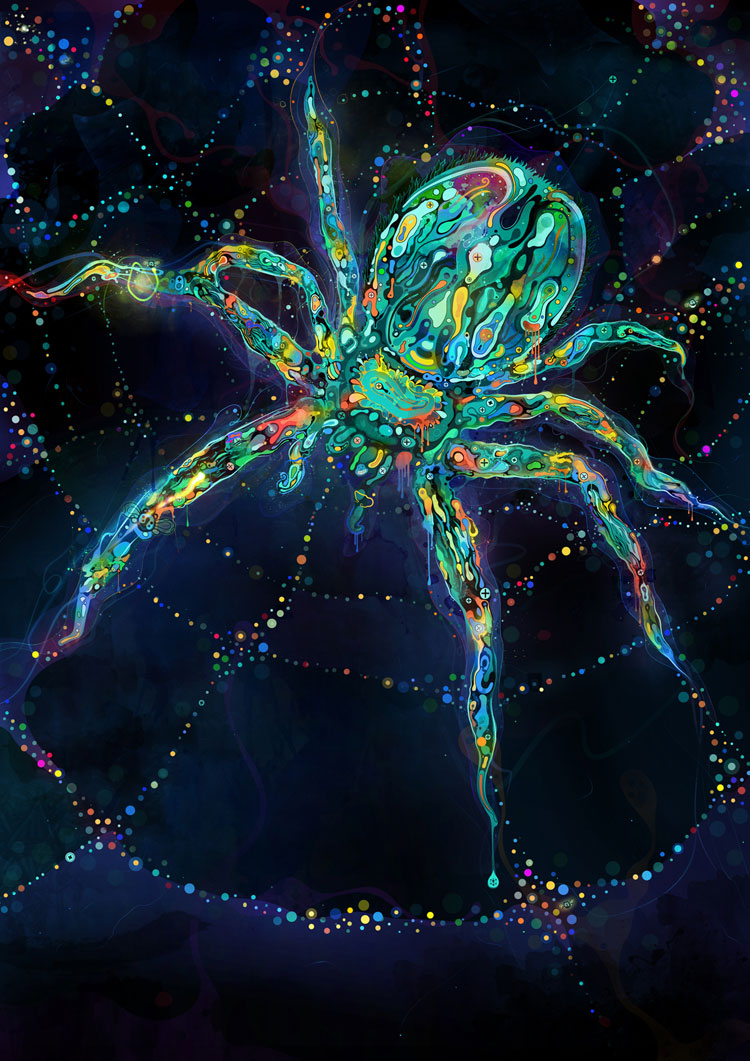 Spider by saltyshadow