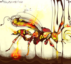 wasp