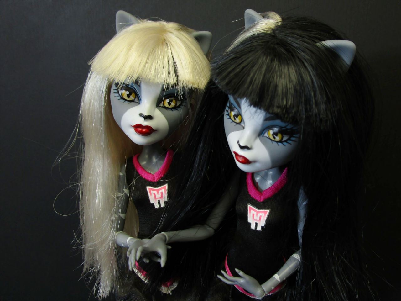 Monsterhigh-meowlody-purrsephone-5594 by toa267 on DeviantArt