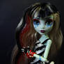 Monsterhigh-frankiestein-sweetscreams-5541