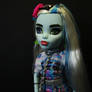 Monsterhigh-frankiestein-dayout-g3-0649