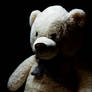 Plush-bear-white-0510330