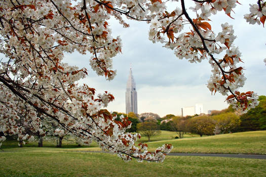 Park in Tokio